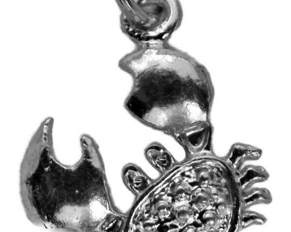 Crab pendant charm .925 Sterling Silver!!