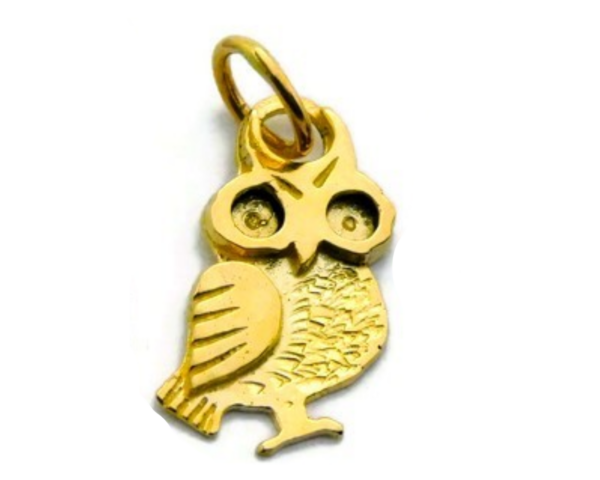 14K Yellow Gold Owl (Buho) Charm Pendant