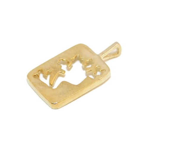 Frog Plaque Pendant Charm 14k Yellow Gold