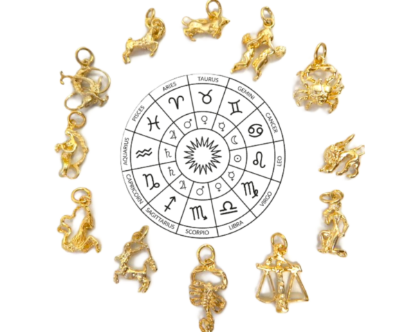 12 Constellation Horoscope Zodiac Sign Unisex Pendant 14K Yellow Gold!!